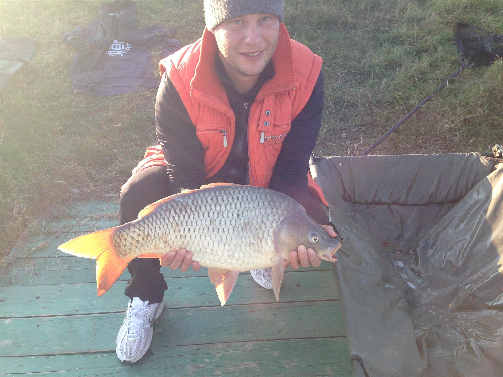 De pe balta adunate - image11111111111.jpg